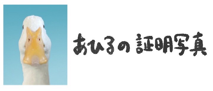 あひるの証明写真