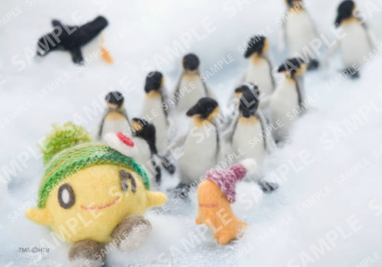 onちゃんとペンギンたちの真冬の大行進♪
