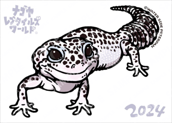 ナゴレプ2024　ヒョウモントカゲモドキ