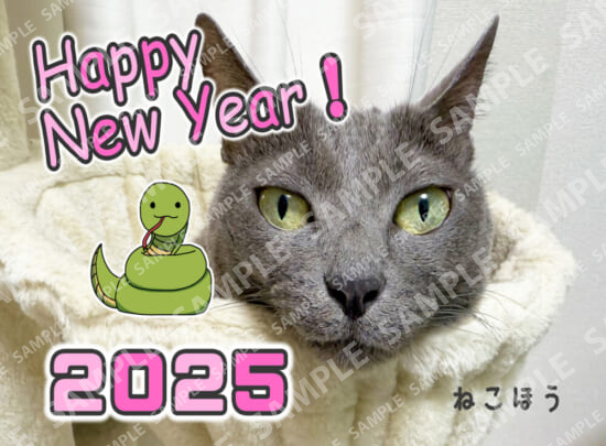 年賀状2025 ハム(はがき・ブロマイド)