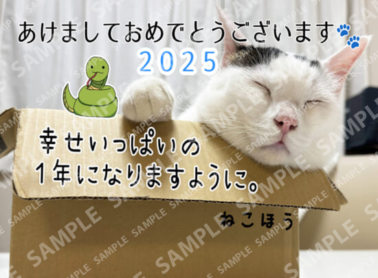 年賀状2025 チロ(はがき・ブロマイド)