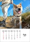柴犬こむぎとボクの三浦半島_2024年カレンダーブロマイド2月