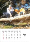 柴犬こむぎとボクの三浦半島_2024年カレンダーブロマイド4月