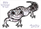 ナゴレプ2024　ヒョウモントカゲモドキ