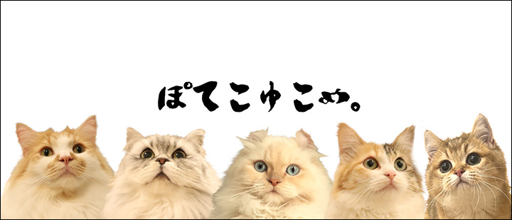 ぽてこゆこめ。