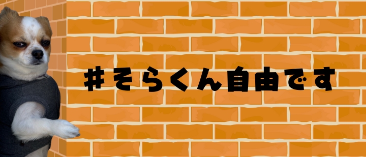 そらくん自由です